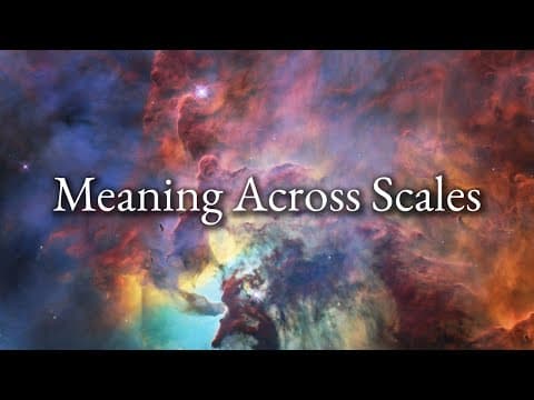 Meaning Across Scales | The Evolution of Meaning