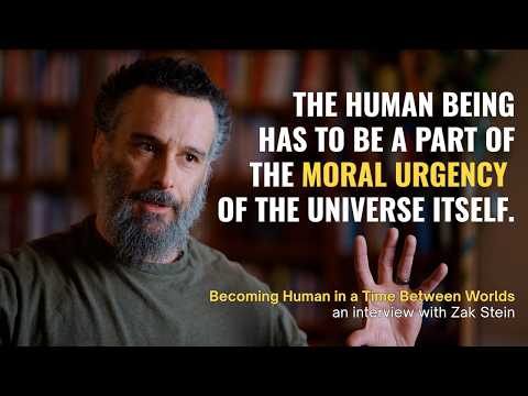 Becoming Human in a Time Between Worlds with Zak Stein