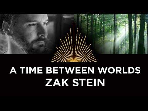 A Time Between Worlds, Zak Stein